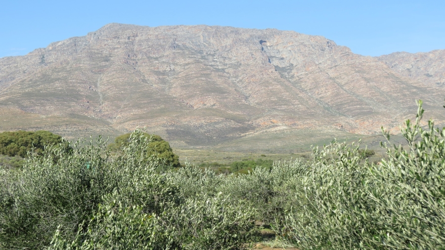 2 Bedroom Property for Sale in Swellendam Rural Western Cape